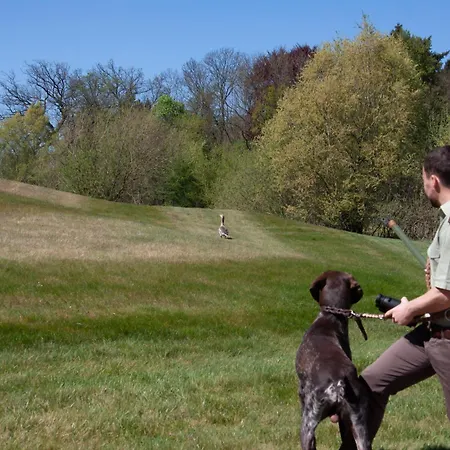 Schloss Fleesensee Resort